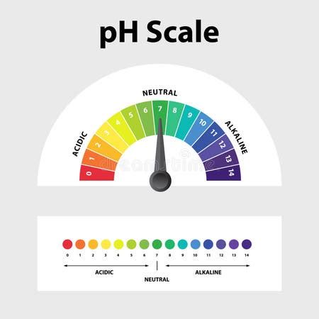 Image result for pH Level Basic Overview