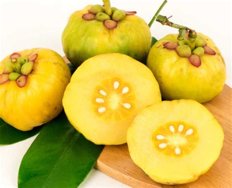 Garcinia Cambogia Fruit Health Benefits In Hindi | garcinia cambogia ...