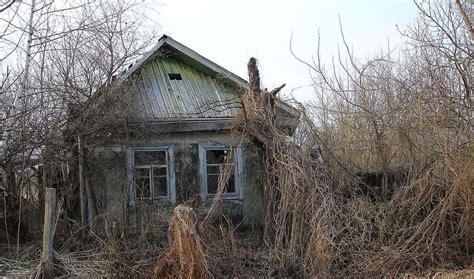 Image result for Chernobyl Disaster Aftermath