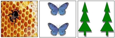 சர்வசம மற்றும் வடிவொத்த வடிவங்கள் - வடிவியல் | அலகு 5 | 8 ஆம் வகுப்பு ...