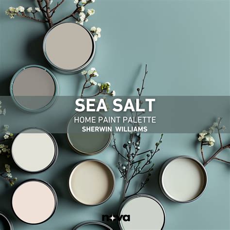 Sea salt sherwin williams paint color palette with interior design tips ...