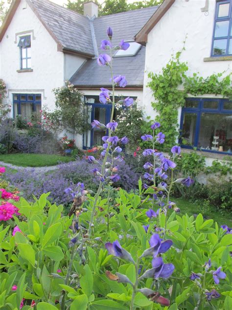 Summer Kitchen garden course Tanguy de Toulgoët, Durrow Laois, DUNMORE ...