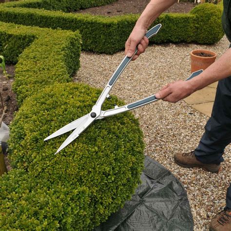 Topiary Hedge Shears - Topiary at Harrod Horticultural