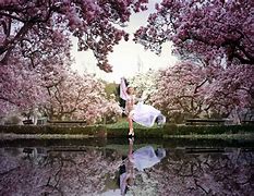 Image result for Spring Wallpapers for Desktop