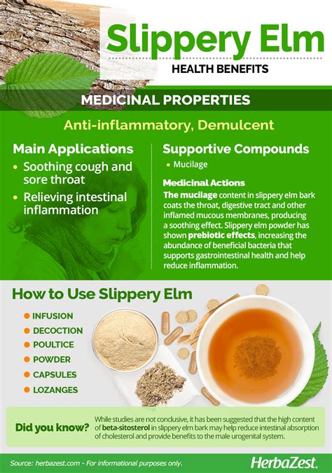 Slippery Elm | HerbaZest