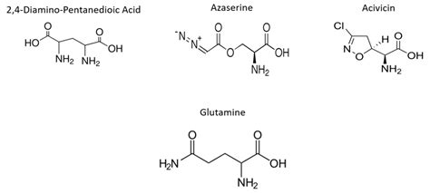 Glutamine Structure At Ph 1