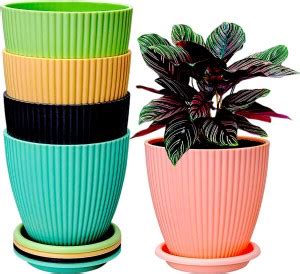 Flipkart SmartBuy Small Flower Pot Outdoor & Indoor Planters with ...
