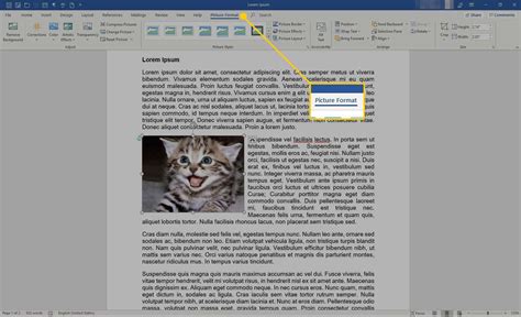 Image result for Resize Image with Python in Word