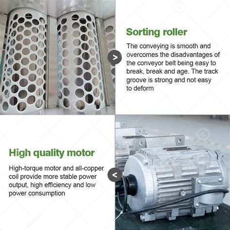 Image result for Fruit Sorting Machine