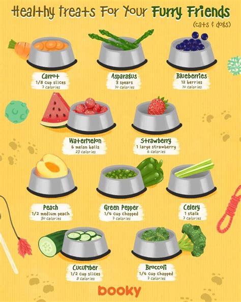 Pin by Hannah on Vera in 2025 | Healthy dog food recipes, Dog recipes ...