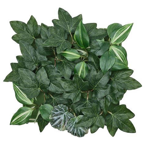 FEJKA artificial plant, wall mounted in/outdoor/foliage, 25x25 cm (9 ...