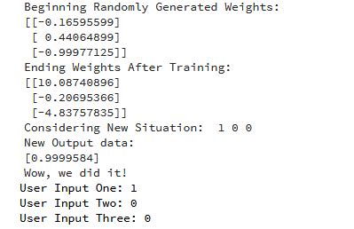 Python AI Code 的图像结果