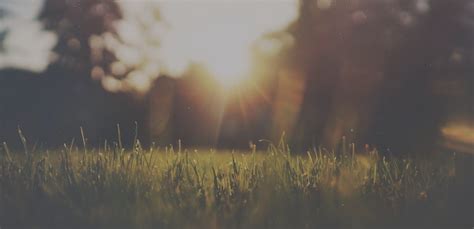 Apartments in Kilpauk | 3 BHK Flats for Sale – BBCL Breeze