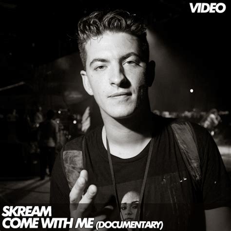 Skream 的图像结果