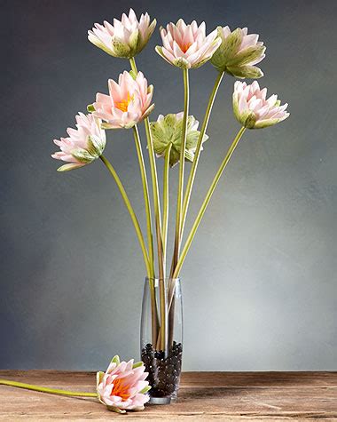 Fun Science Experiments 的图像结果