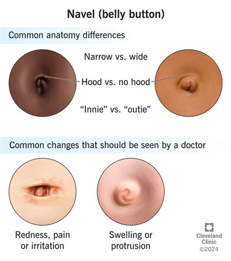 Image result for Getting Belly Button