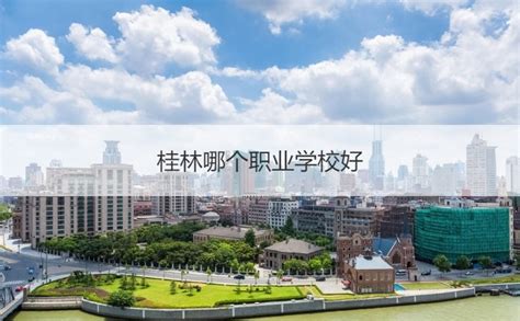 广东实验中学越秀学校国际部2023年入学条件