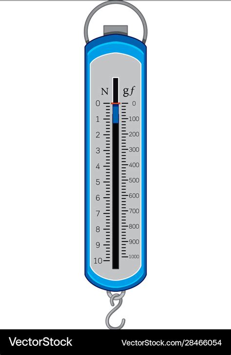 Image result for Spring Balance Vs Digital Scale