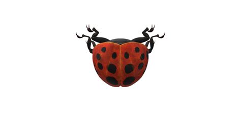 Image result for Ladybug No Background