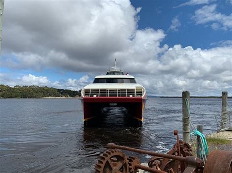 World Heritage Cruises (Strahan) - 2019 What to Know Before You Go ...