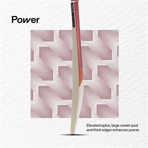 Cricket Bat for Adult - Bordeaux - For Soft & Medium Tennis Ball T500 ...