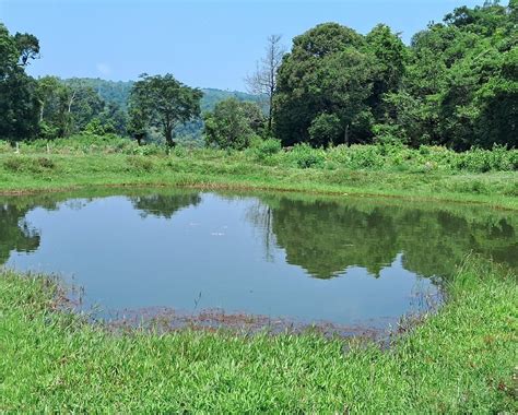 STERLING KADUMANE HILLS SAKLESHPUR (Karnataka) - Campground Reviews ...