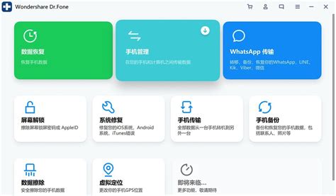 Dr. Fone Tutorial 的图像结果
