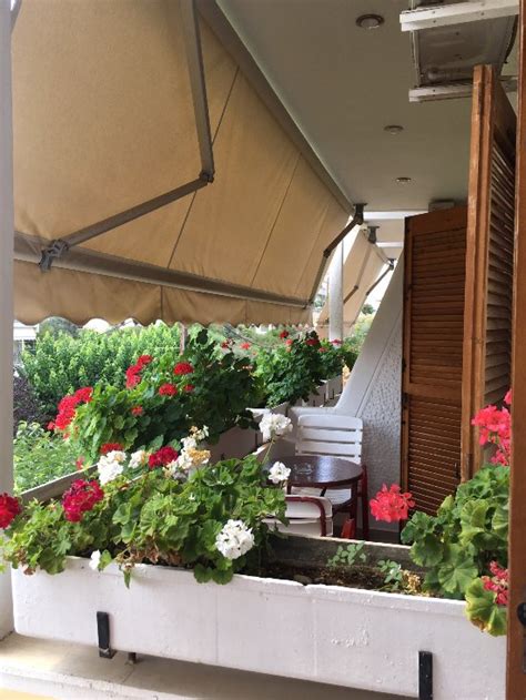 HOTEL AIDIPSOS (Edipsos) - Hotel Reviews, Photos, Rate Comparison ...