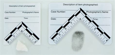 Evidence Card 的图像结果