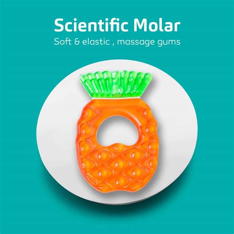 Buy BUDDSBUDDY COMBO OF 4 BPA FREE MULTI TEXTURE DOUBLE COLOR WATER ...