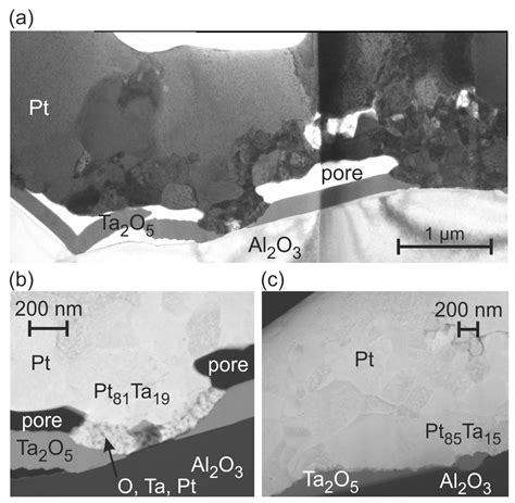 Capability Study of Ti, Cr, W, Ta and Pt as Seed Layers for ...