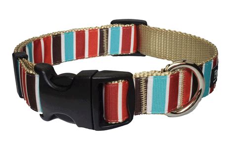 Paw Paws USA Hula Stripe Dog Collar, Large, Multicolored : Amazon.in ...