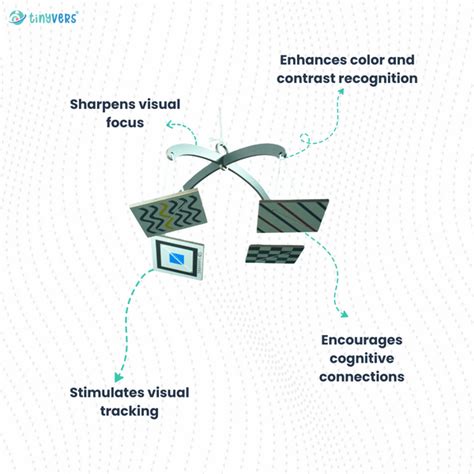 Tinyvers Montessori Monthly Learning Box Level 2 | Brain Development ...