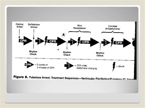 Image result for Advanced cardiac life support ACLS Algorithms