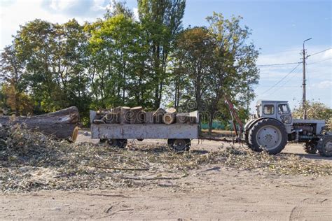 Image result for Tree Remval Tractor