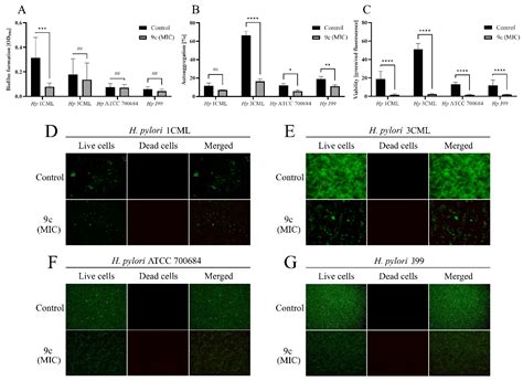 New Quipazine Derivatives Active Against Drug-Resistant Oncogenic ...