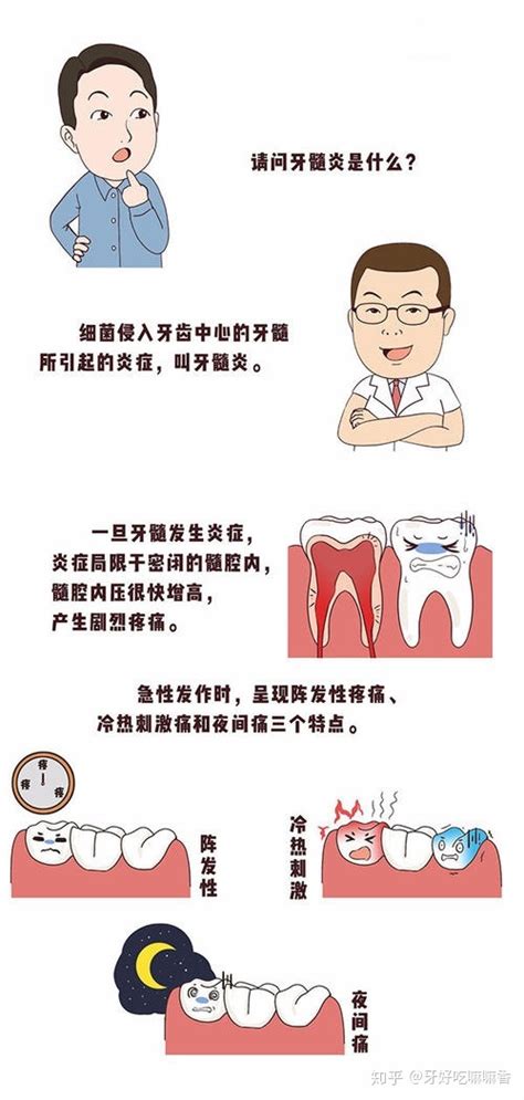 牙髓炎是怎么引起的 为什么牙髓炎到了晚上特别疼_牙髓炎病因_牙髓炎痛吗-口腔资讯-土拨鼠爱牙