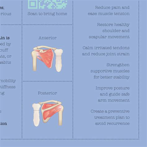 08 Shoulder Pain Quick Guide