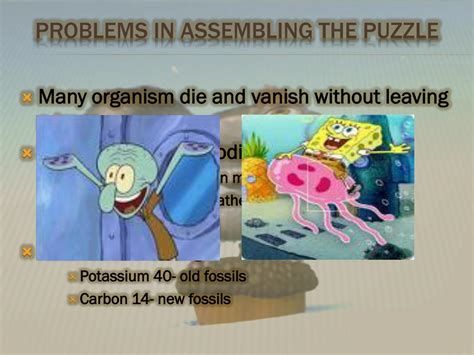 Image result for Evolutionary Development