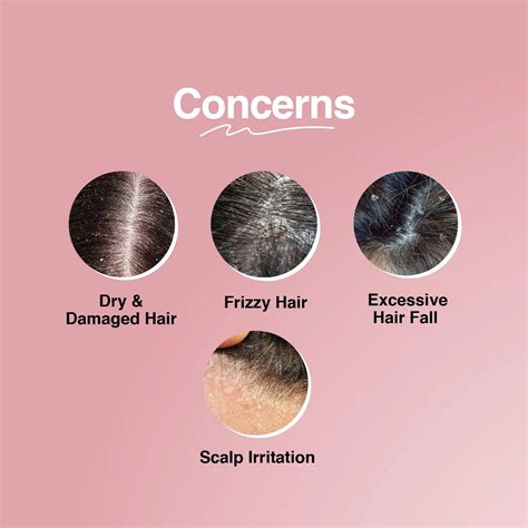 Japanese Camellia Shampoo | Sulfate-Free Anti-Dandruff Shampoo