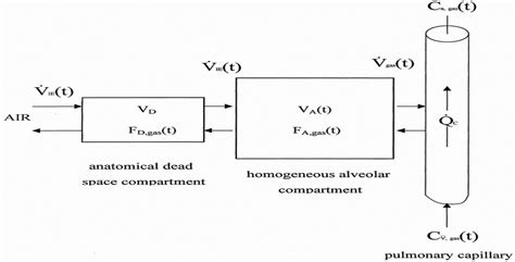 Image result for PCO2 Gradient