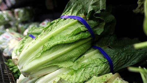 E. coli outbreak from romaine lettuce: Here's what you need to know ...
