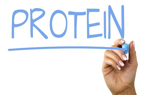 Protein Cellular Function 的图像结果