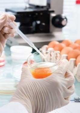 Testing Services | Bureau Veritas India