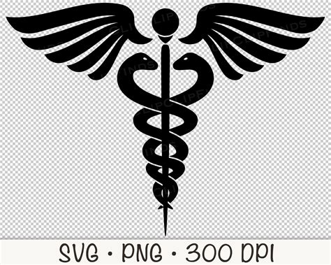 Image result for BAM File Flags Alignment