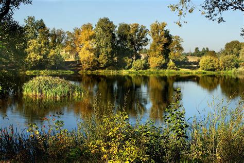 Pixabay Free High Resolution 的图像结果