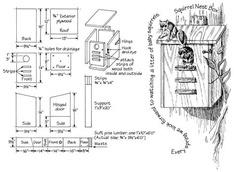 Printable Squirrel House Plans