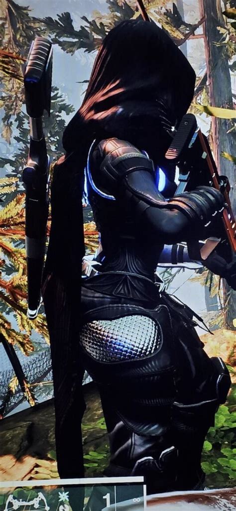 Image result for Destiny Model 2