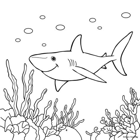 Free Printable Shark Coloring Pages