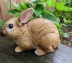 Image result for Spring Bunnies Figurines